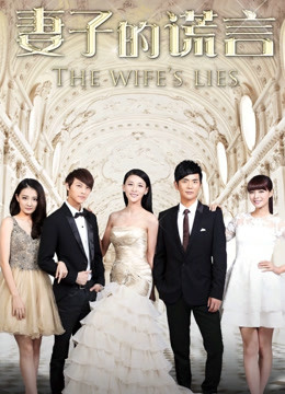 妻子的谎言D第五季D版封面图