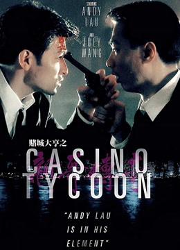 赌城大亨之新哥传奇粤语版封面图
