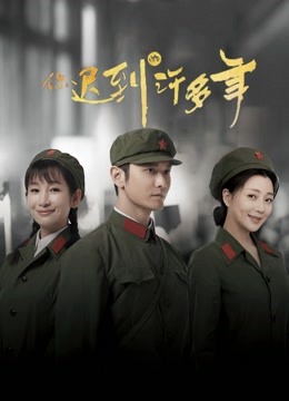 你迟到的许多年D第五季D版封面图