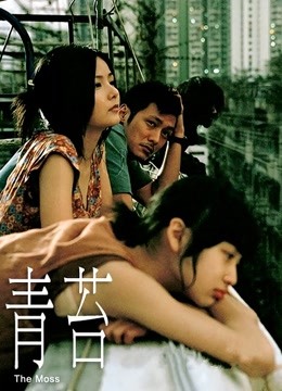 青苔封面图