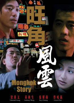 旺角风云封面图