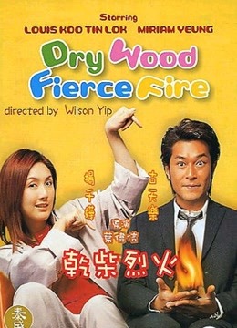 干柴烈火粤语版封面图