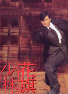 花旗少林粤语版封面图