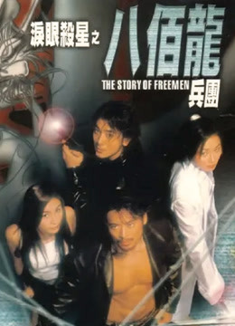 泪眼杀星之八百龙兵团封面图