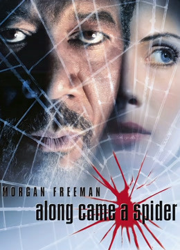 全面追缉令封面图