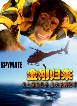 金刚归来普通话版封面图