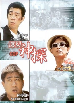 神探二又二分之一封面图