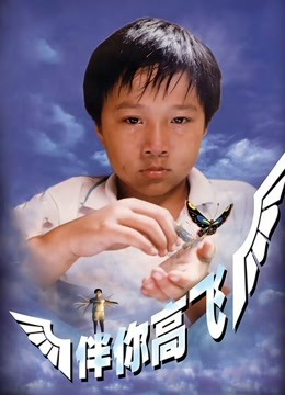 伴你高飞1998封面图