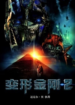 变形金刚2普通话版封面图
