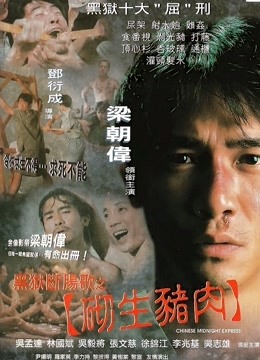 黑狱断肠歌之砌生猪肉粤语版封面图