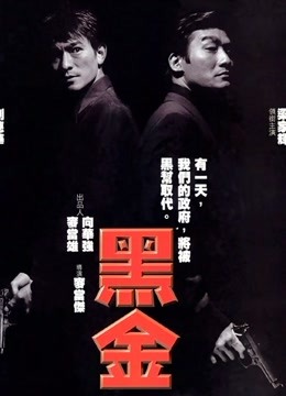 黑金粤语版封面图