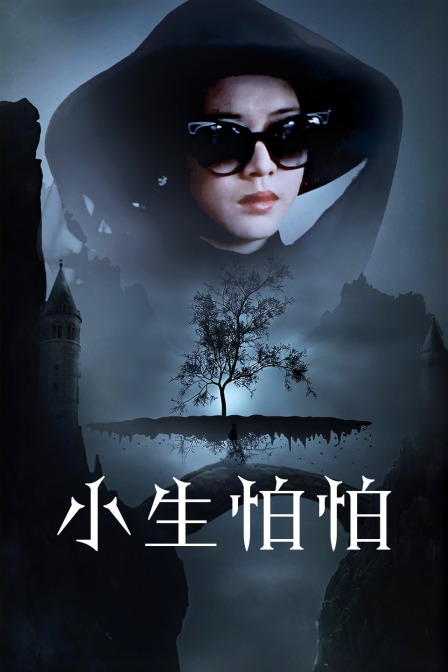 小生怕怕封面图