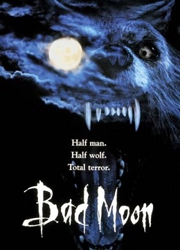 鬼哭神嚎1996封面图