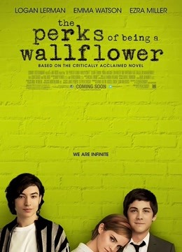 壁花少年封面图