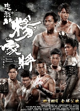 忠烈杨家将粤语版封面图