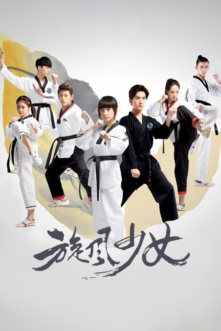 旋风少女封面图