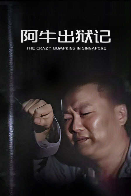 阿牛出狱记封面图