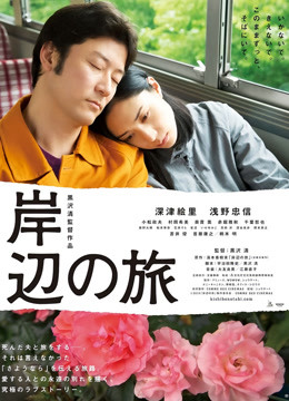 岸边之旅封面图