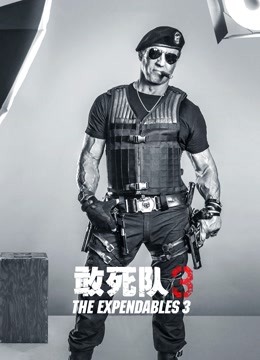 敢死队3普通话版封面图