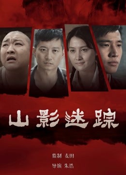 山影迷踪封面图