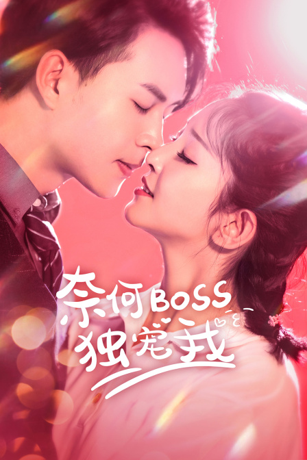 奈何boss独宠我封面图