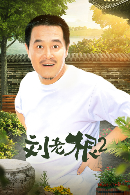 刘老根第二部封面图