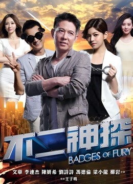 不二神探粤语版封面图