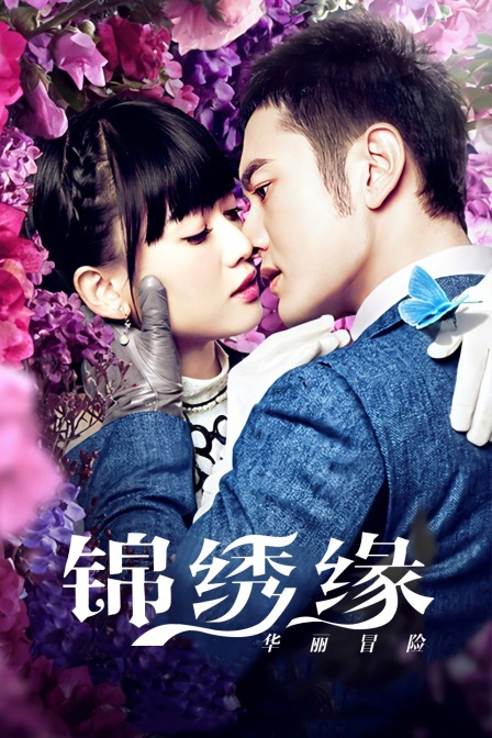 锦绣缘华丽冒险湖南卫视T第五季版封面图