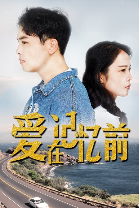 爱在记忆前封面图