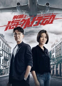 刑警之海外行动封面图
