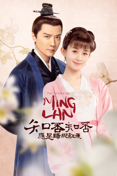 知否知否应是绿肥红瘦D第五季D版封面图