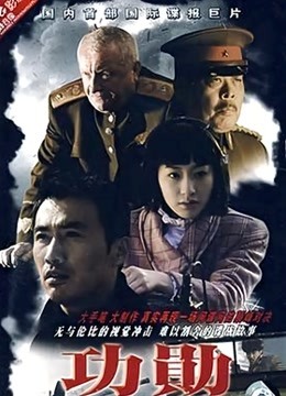 功勋柳云龙版封面图