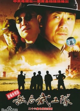 新敌后武工队封面图