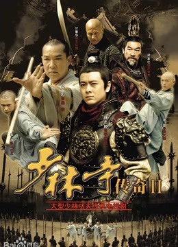 少林寺传奇之十三棍僧封面图