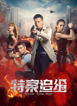 特案追缉封面图