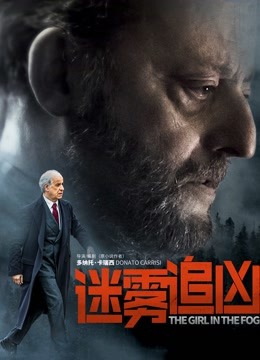 迷雾追凶普通话版封面图