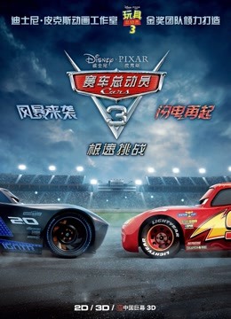 赛车总动员3极速挑战普通话版封面图