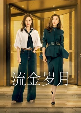 流金岁月D第五季D版封面图