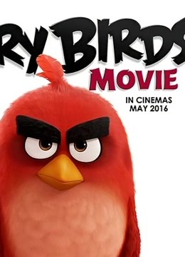 愤怒的小鸟普通话版封面图