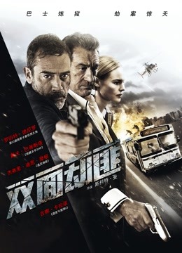 双面劫匪普通话版封面图