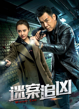 迷案追凶封面图