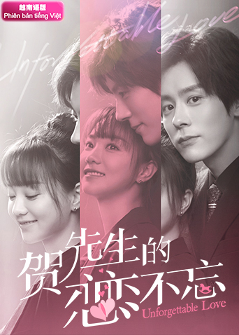 贺先生的恋恋不忘越南语版封面图
