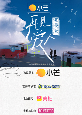 再见爱人沉浸版封面图