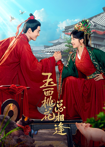 玉面桃花总相逢卫视版封面图