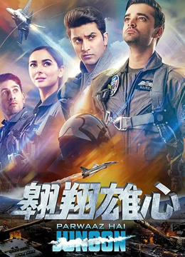 翱翔雄心普通话版封面图