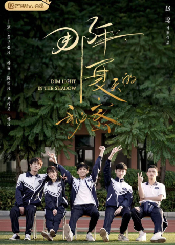 那年夏天的秘密封面图