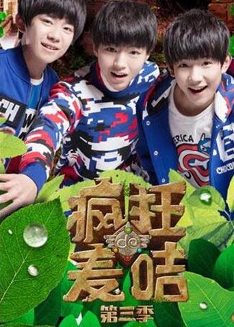 疯狂的麦咭第三季封面图