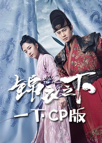 锦衣之下一下CP版封面图