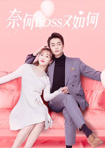 奈何BOSS又如何封面图
