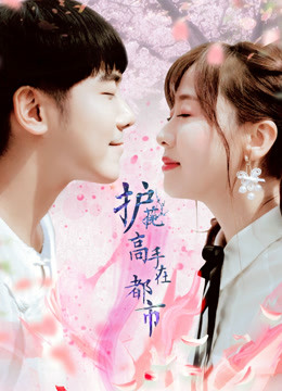 护花高手在都市封面图